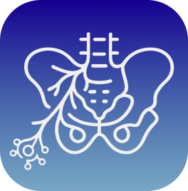 Pelvic nerve focus icon